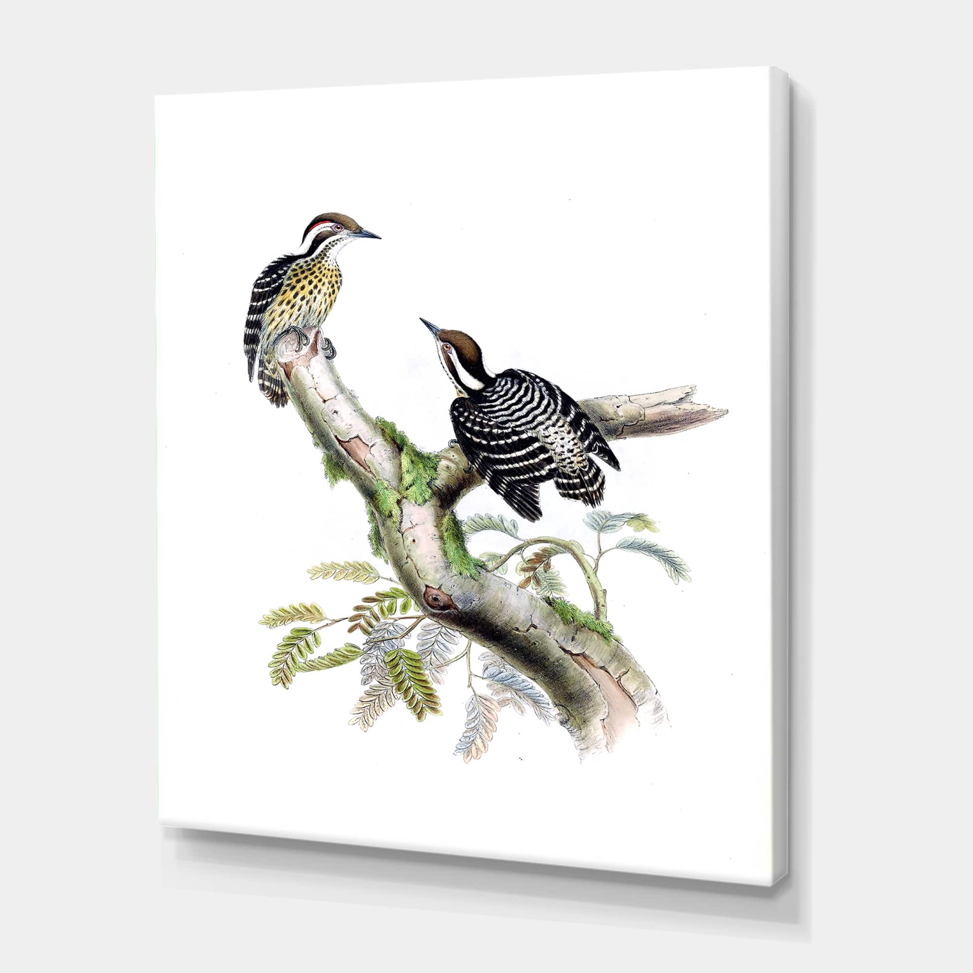 Designart - Vintage Birds In The Wild VIII